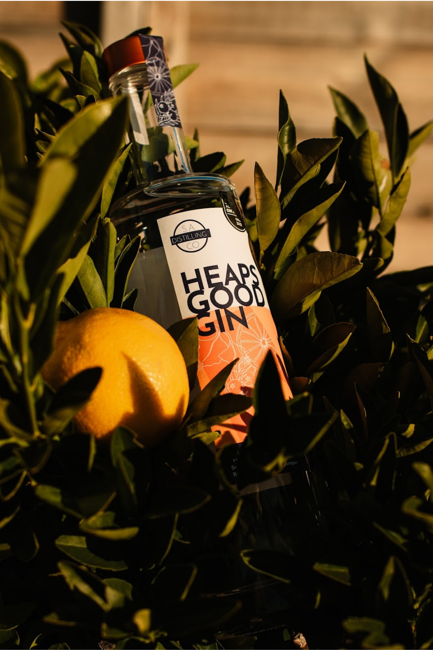 Bottle of Heads Good Gin surrounded by green leaves and an orange.