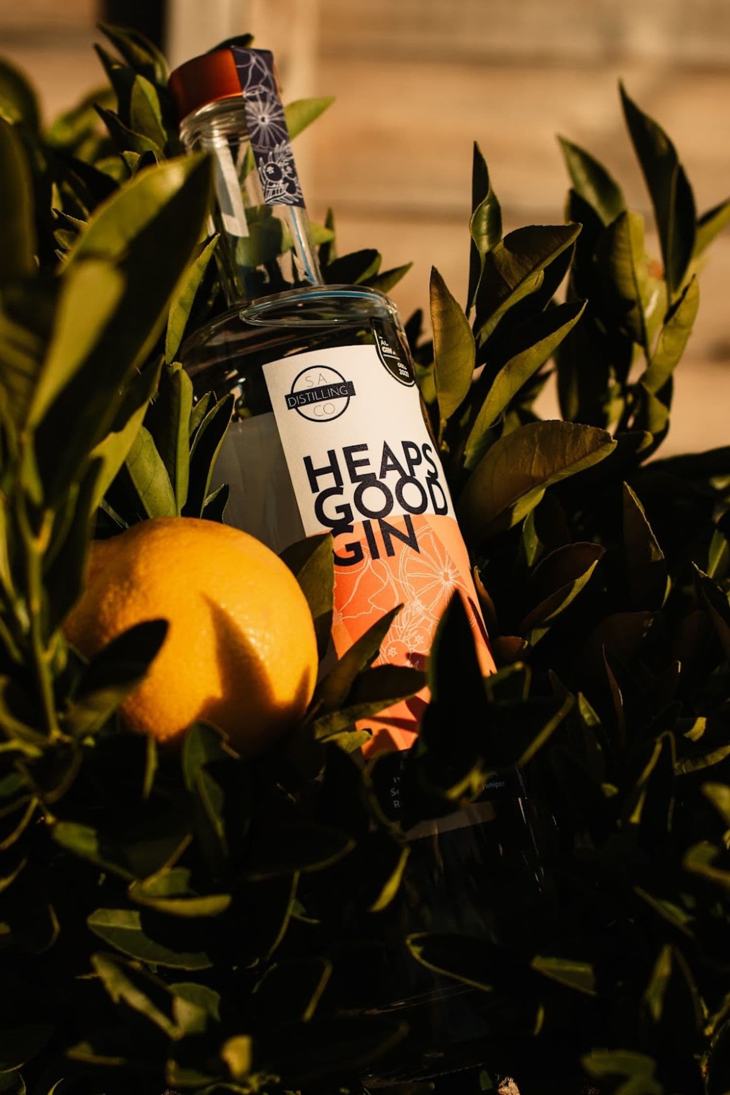 Heaps Good Gin bottle nestled among citrus leaves with fresh orange