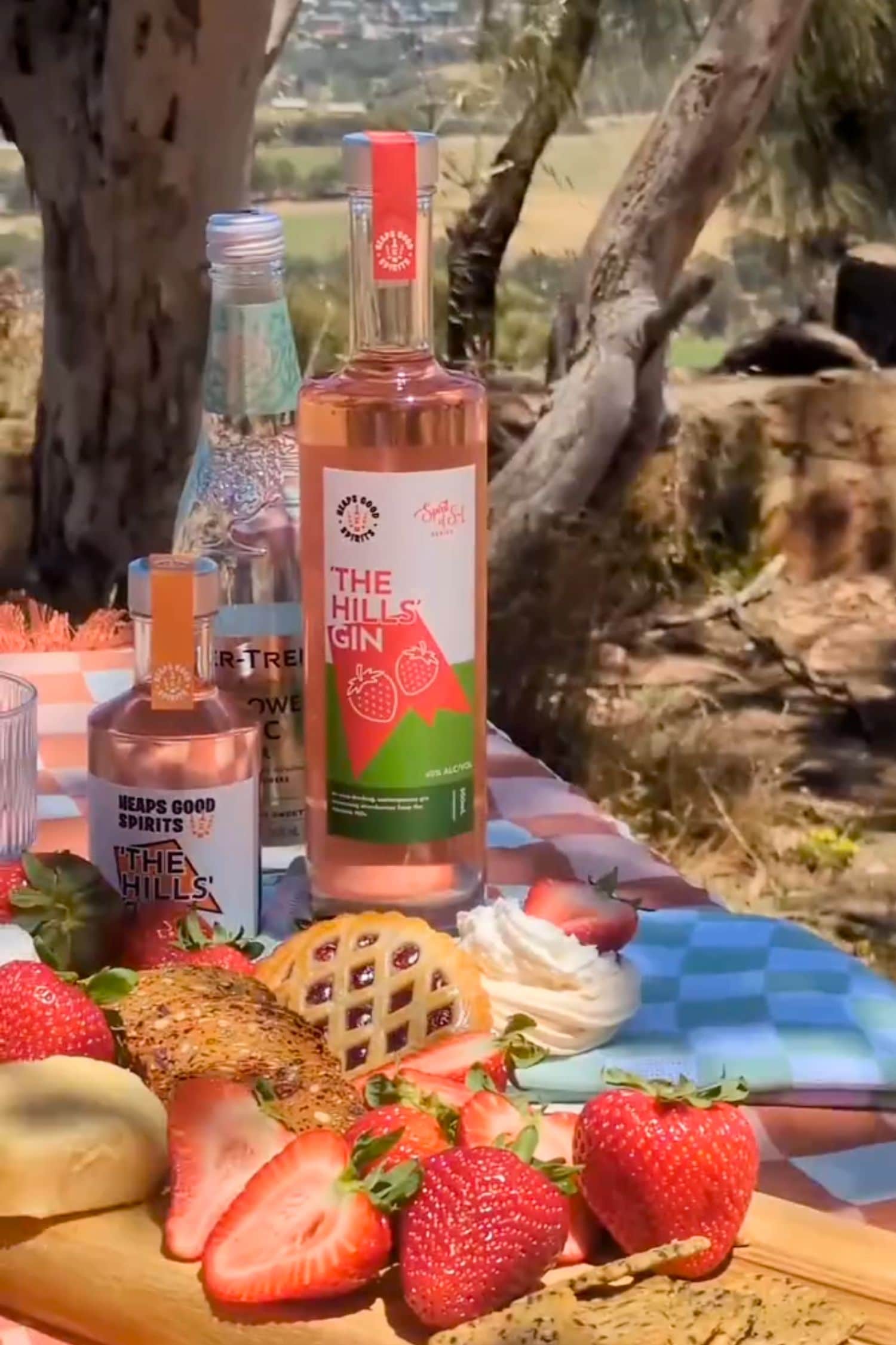The Hills Gin strawberry gin bottle on picnic table with fresh strawberries and grazing board in Adelaide Hills