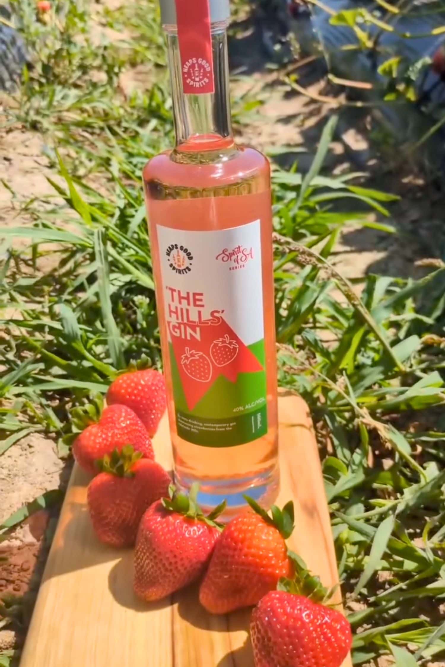 The Hills Gin photographed in strawberry field highlighting fresh fruit flavour