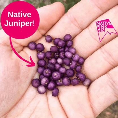 Native Pink Gin
